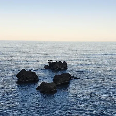 Cormorano 3*