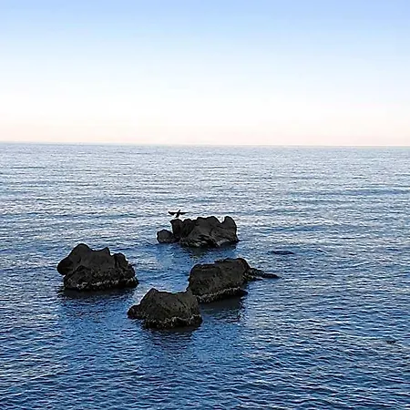 Отель Cormorano